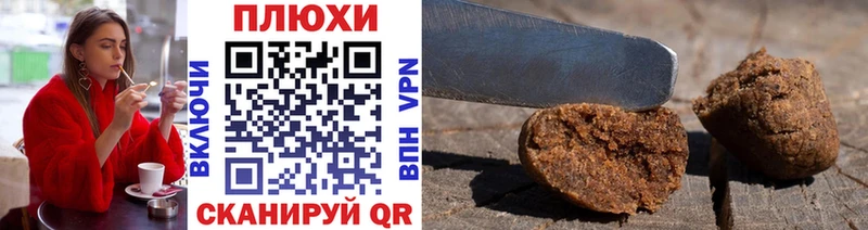 ГАШ Изолятор  Павловск 
