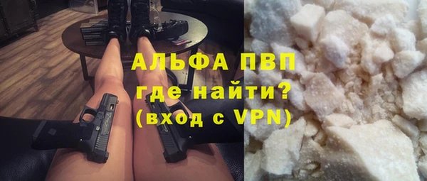гашик Арсеньев