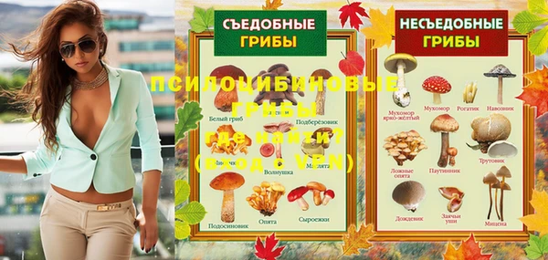 гашик Арсеньев