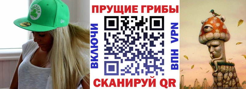 дарнет шоп  кракен как войти  Галлюциногенные грибы Psilocybe  Павловск 
